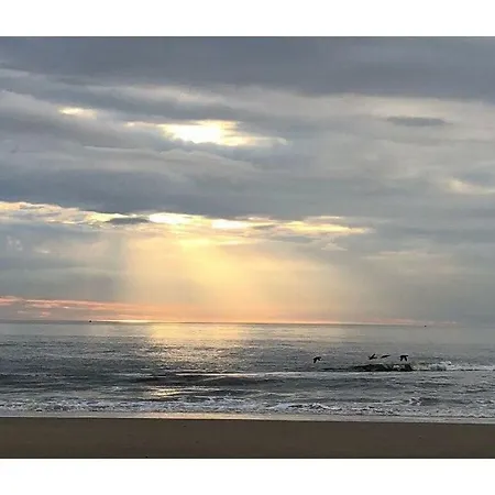 Semesterbostad Muijs Comfortable Huisduinen