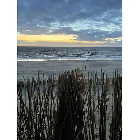 Muijs Comfortable * Huisduinen