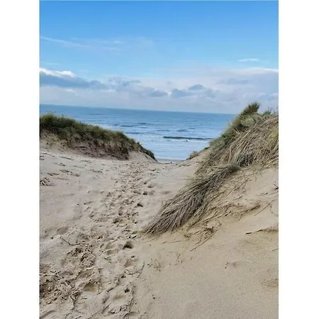 Muijs Comfortable * Huisduinen